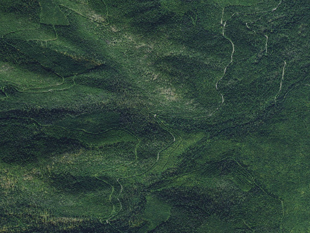Aerial image of 10229-2 Porcupine Creek End