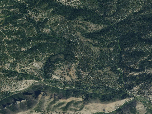 Aerial image of 1303 Road