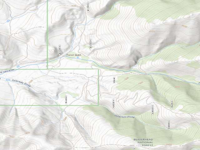 USGS topographic map of 1St Site
