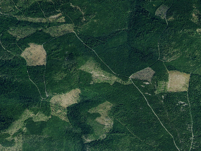 Aerial image of 2987-10114-2 W. Bill To Browns Mdw
