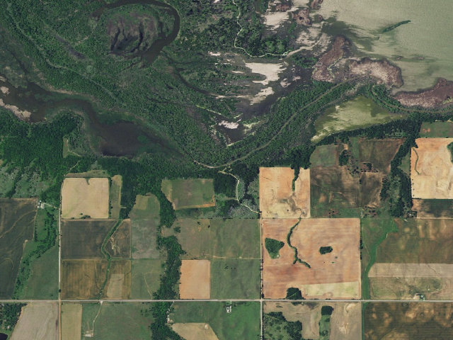 Aerial image of 3 Mile Camp (Canton WMA)
