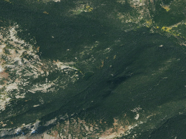 Aerial image of 4 dispersed campsites