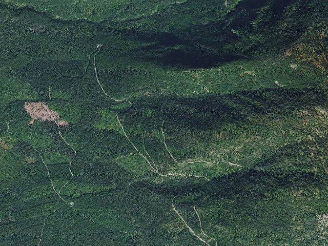 Aerial image of 5206-9514-1 Seasonal Road Near Wire