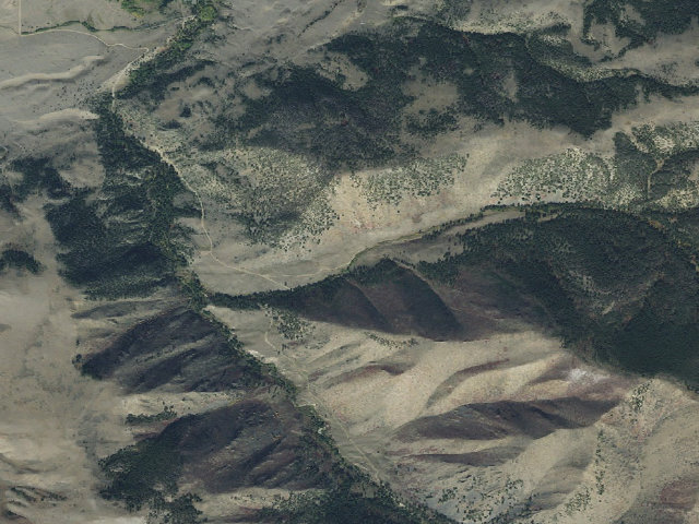 Aerial image of 6 Mile 04