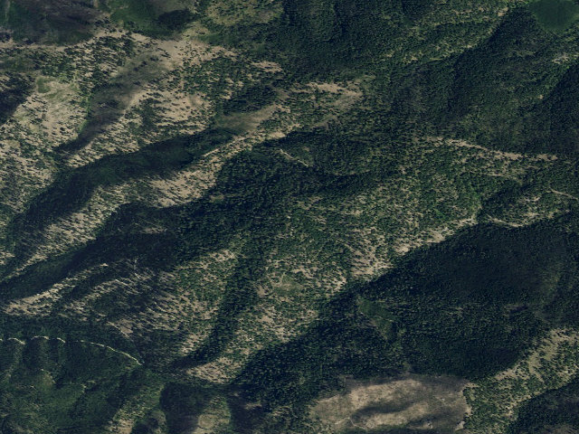 Aerial image of 731 Road