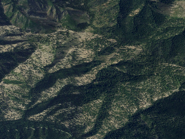 Aerial image of 731 Road