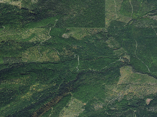 Aerial image of 9568-1 Cold Lakes Road