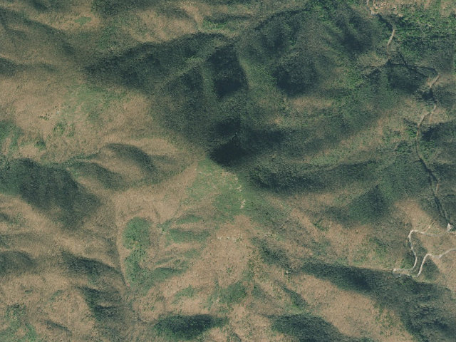 Aerial image of A.T. Blood Mountain Shelter