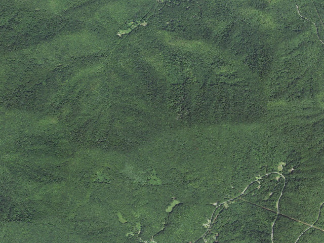 Aerial image of A.T. Brown Fork Gap Shelter