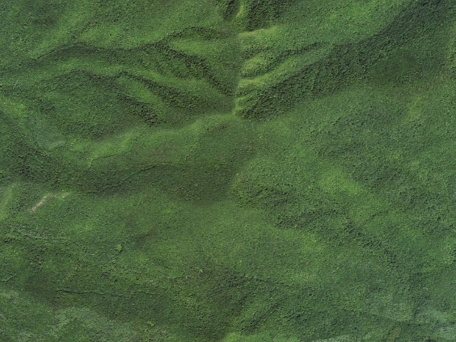 Aerial image of A.T. Cold Spring Shelter