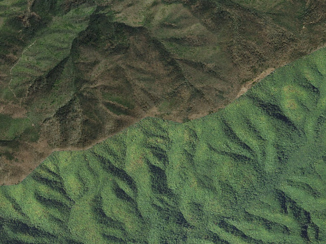 Aerial image of A.T. Jerry Cabin Shelter