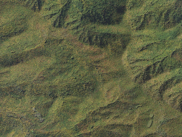 Aerial image of A.T. Long Branch Shelter