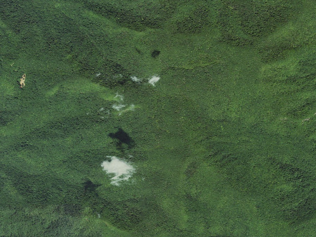 Aerial image of A.T. Muskrat Creek Shelter