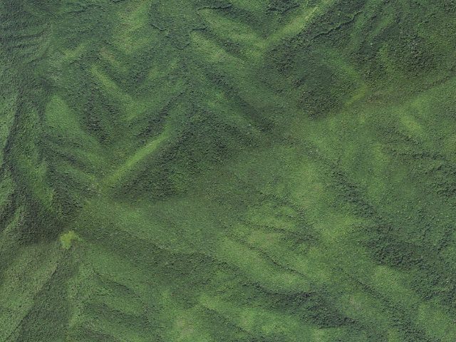 Aerial image of A.T. Sassafras Gap Shelter