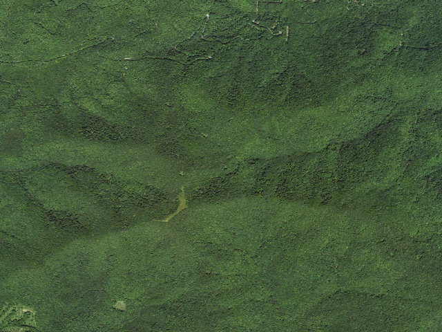Aerial image of A.T. Siler Bald Shelter