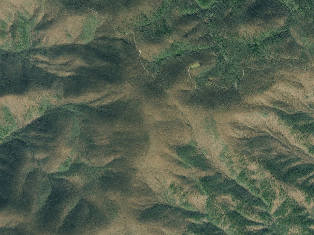 Aerial image of A.T. Springer Mountain Shelter