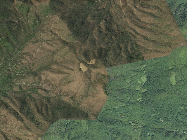 Aerial image of A.T. Walnut Mountain Shelter