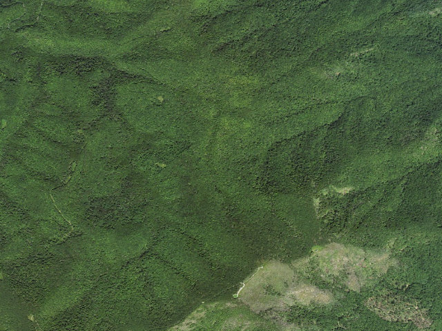 Aerial image of A.T. Wayah Bald Shelter