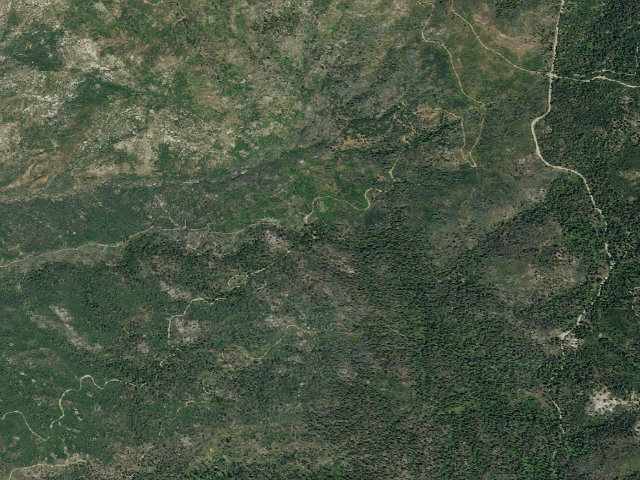 Aerial image of Abbott Creek