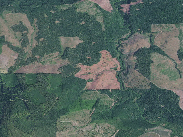 Aerial image of Abbott Creek Campground
