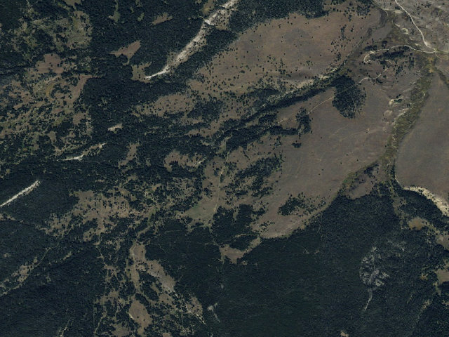 Aerial image of Abovewapiticabin066