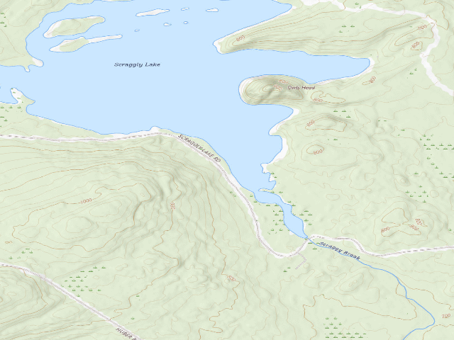 USGS topographic map of Adirondack (Scraggly Lake Public Land)