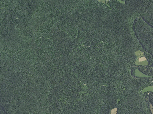 Aerial image of Adventure Trail Primitive Site (Harrison-Crawford State Forest)