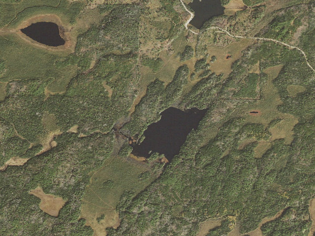 Aerial image of Agassa Lake Site 1