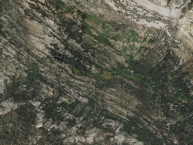 Aerial image of Agnew Meadows Horse Camp
