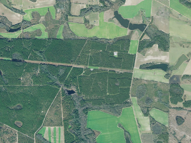 Aerial image of Alapaha River WMA Primitive Campground #1