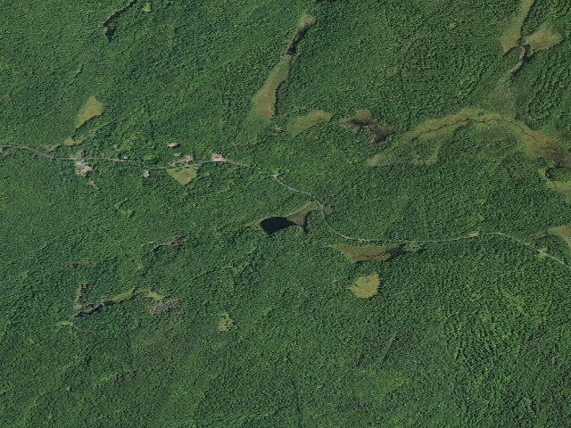 Aerial image of Albia Pond Campsite (Wilcox Lake Wild Forest)