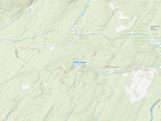 USGS topographic map of Albia Pond Campsite (Wilcox Lake Wild Forest)