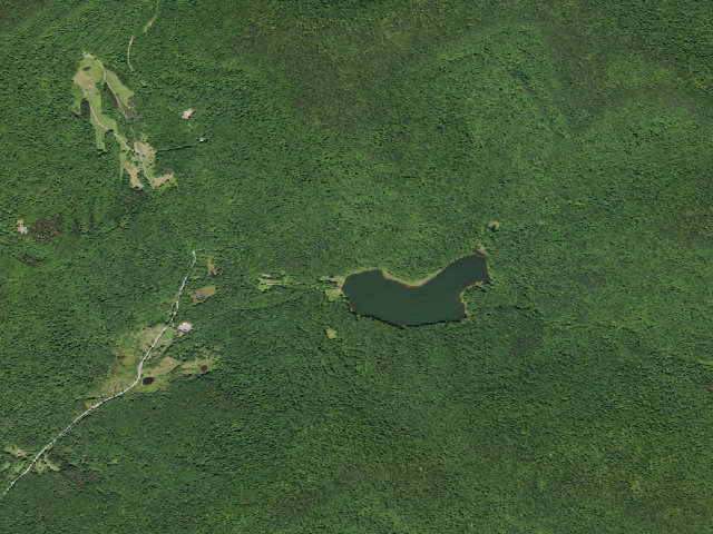 Aerial image of Alder Lake Site #1 (Balsam Lake Mountain Wild Forest)