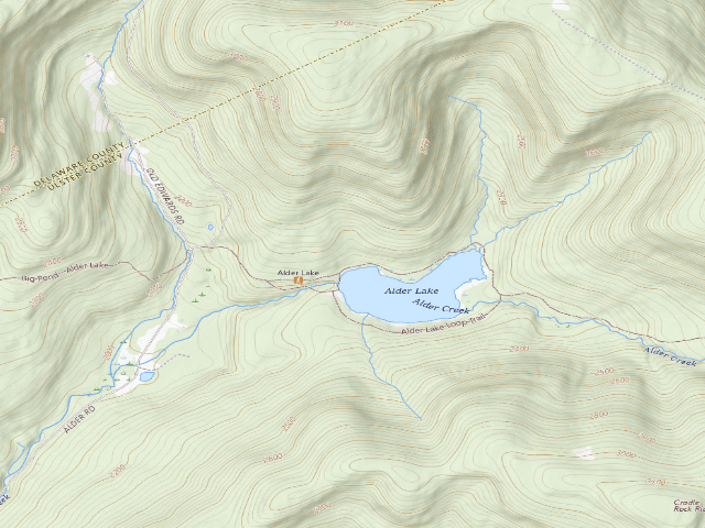 USGS topographic map of Alder Lake Site #1 (Balsam Lake Mountain Wild Forest)