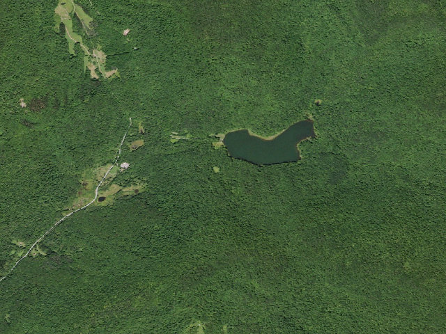 Aerial image of Alder Lake Site #10 (Balsam Lake Mountain Wild Forest)