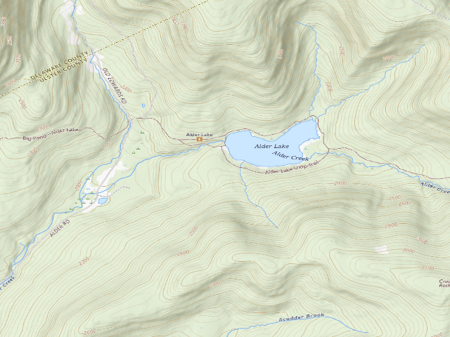 USGS topographic map of Alder Lake Site #10 (Balsam Lake Mountain Wild Forest)