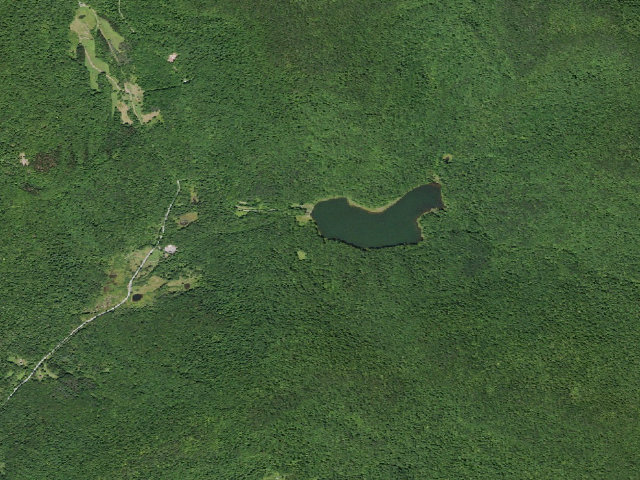Aerial image of Alder Lake Site #11 (Balsam Lake Mountain Wild Forest)