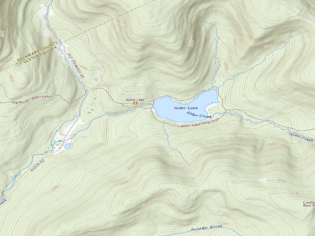 USGS topographic map of Alder Lake Site #11 (Balsam Lake Mountain Wild Forest)