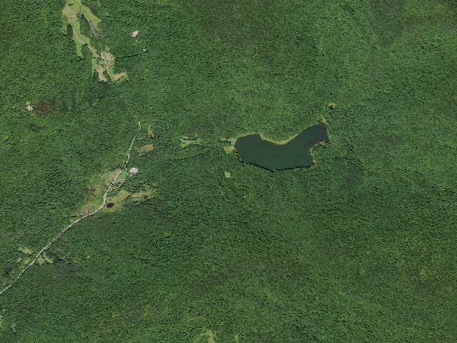 Aerial image of Alder Lake Site #12 (Balsam Lake Mountain Wild Forest)