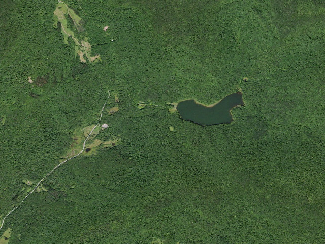 Aerial image of Alder Lake Site #13 (Balsam Lake Mountain Wild Forest)