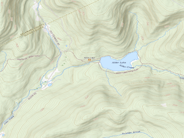 USGS topographic map of Alder Lake Site #13 (Balsam Lake Mountain Wild Forest)