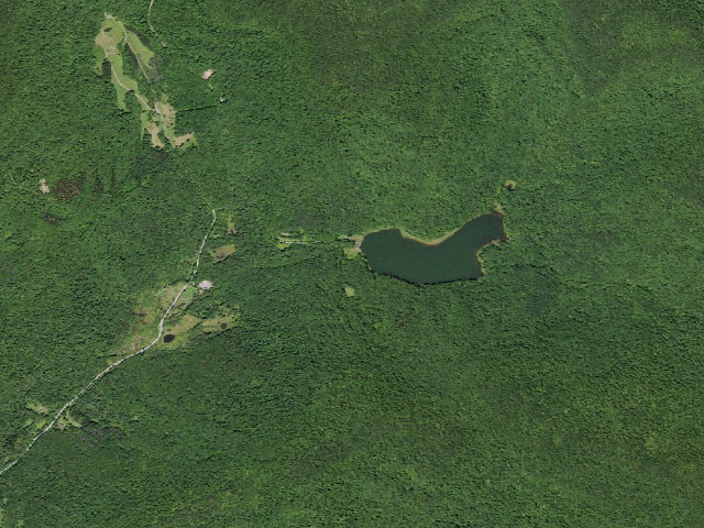 Aerial image of Alder Lake Site #14 (Balsam Lake Mountain Wild Forest)