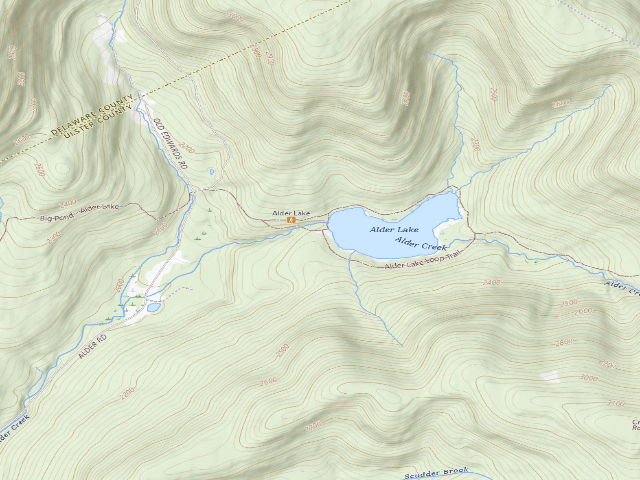 USGS topographic map of Alder Lake Site #14 (Balsam Lake Mountain Wild Forest)