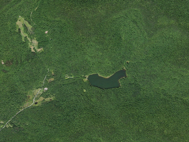 Aerial image of Alder Lake Site #2 (Balsam Lake Mountain Wild Forest)