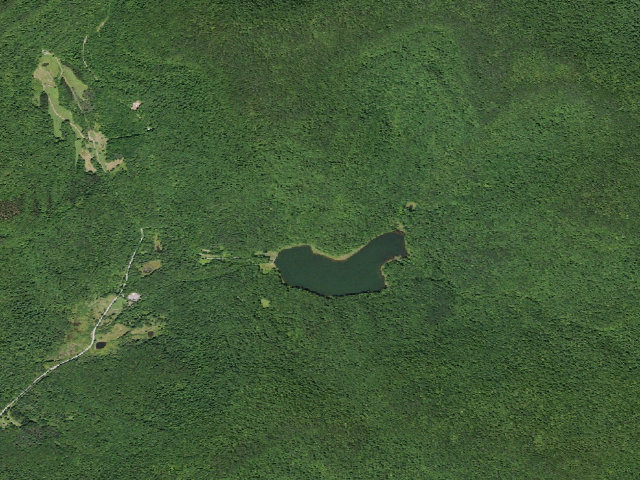 Aerial image of Alder Lake Site #3 (Balsam Lake Mountain Wild Forest)
