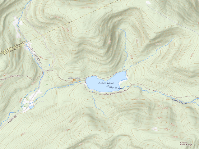 USGS topographic map of Alder Lake Site #3 (Balsam Lake Mountain Wild Forest)
