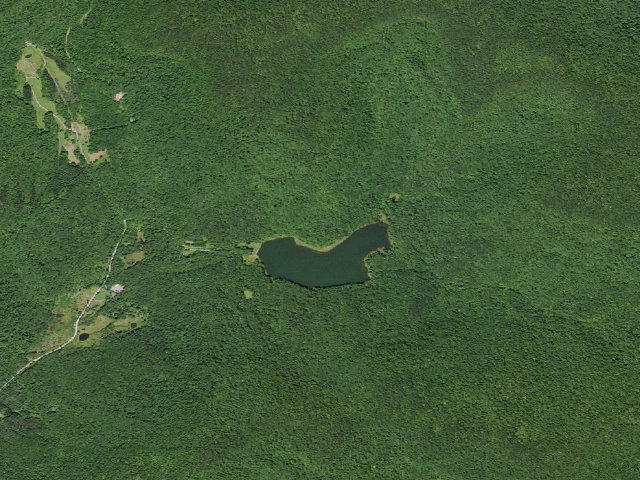 Aerial image of Alder Lake Site #4 (Balsam Lake Mountain Wild Forest)