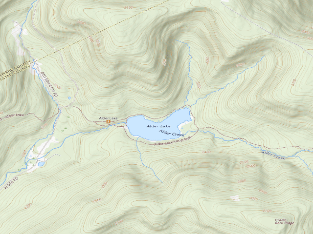 USGS topographic map of Alder Lake Site #4 (Balsam Lake Mountain Wild Forest)