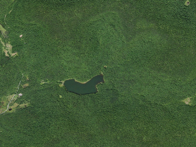 Aerial image of Alder Lake Site #5 (Balsam Lake Mountain Wild Forest)