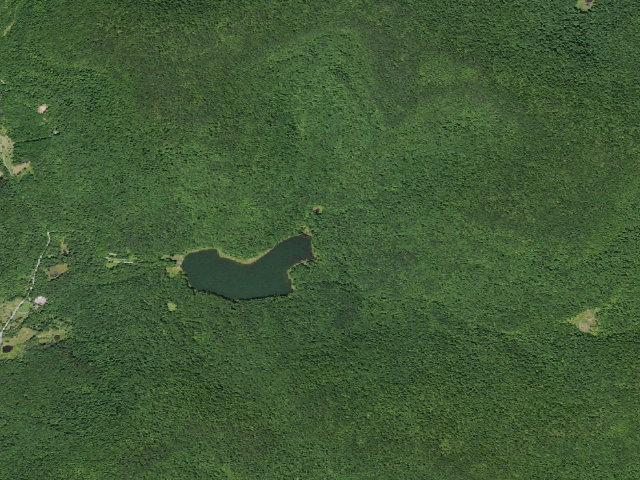 Aerial image of Alder Lake Site #6 (Balsam Lake Mountain Wild Forest)